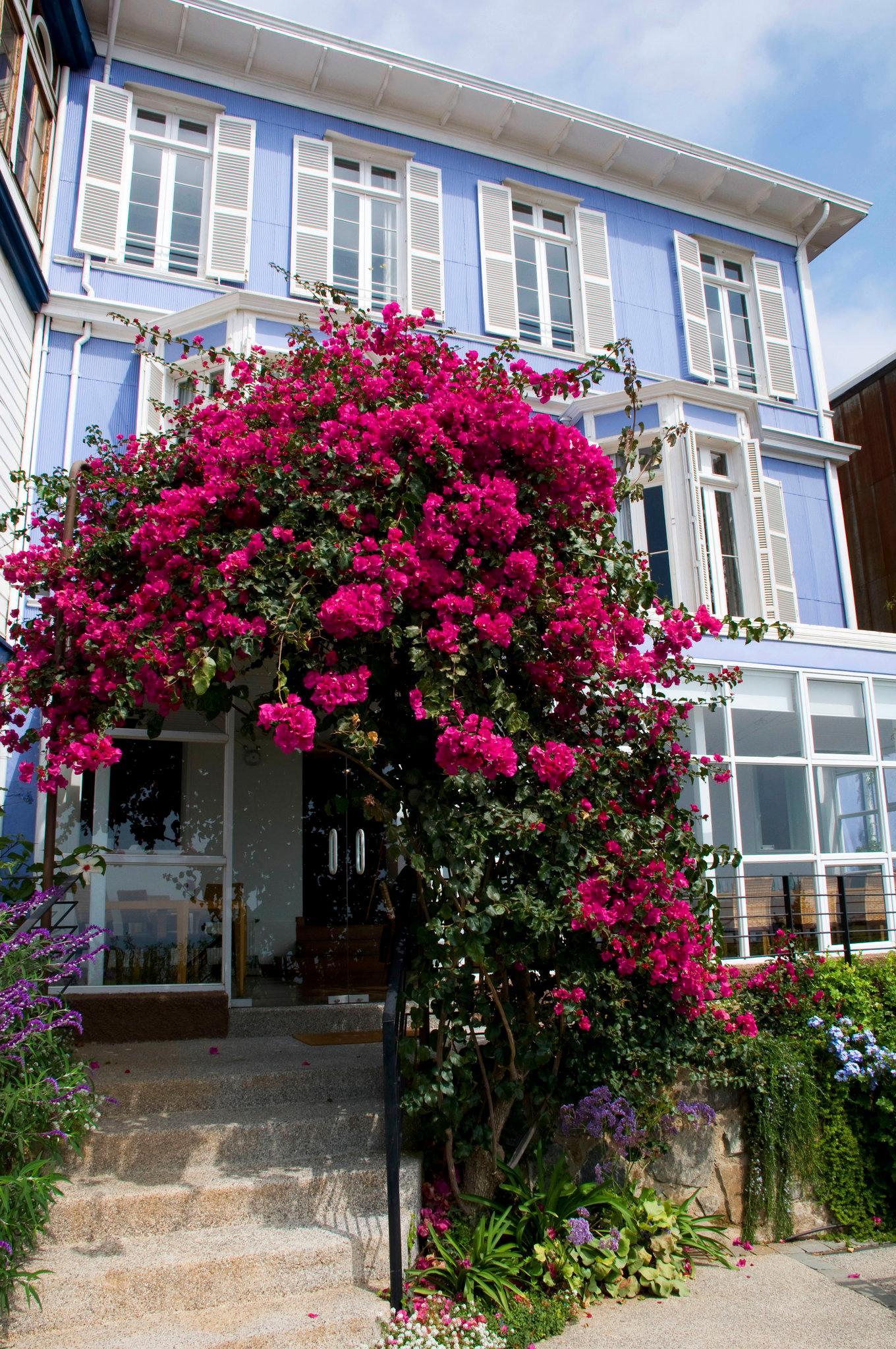 Zerohotel Valparaíso Exterior foto